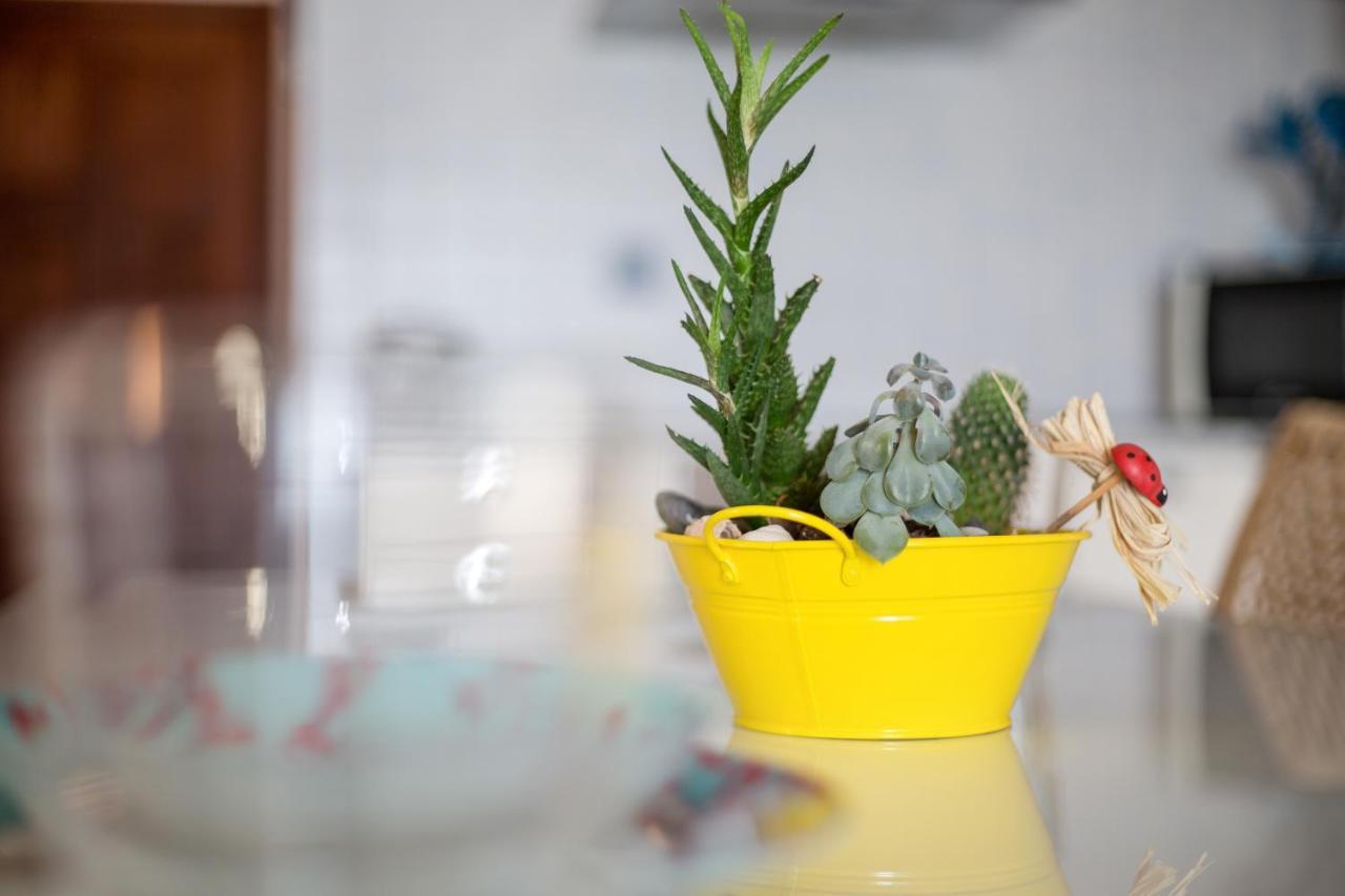 Apartamento Abuelo Miguel Cotillo Esterno foto